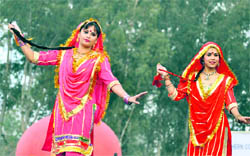 Artistes during a cultural show at the fair