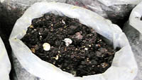 Produce at the Mushroom Demonstration Centre, Agricultural Farm, Reasi