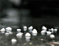 Rain lashed Ludhiana on Thursday night. Tribune lensman Himanshu Mahajan took a picture of hailstones at 2 am