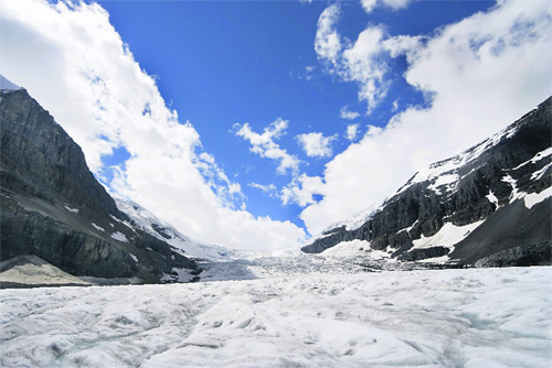 The Columbia Icefield feeds six major glaciers, including the great Athabasca Glacier