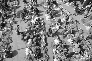 High prices have shrunk the number of vegetable buyers