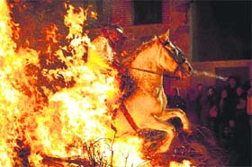 A man rides a horse through a bonfire in San Bartolome de Pinares, Spain, during a traditional festival in honour of Saint Anthony, the patron saint of animals