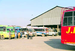 Buses parked at Dana Mandi on Gill Road in Ludhiana which are to be taken to Majitha for the rally