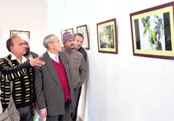 Visitors at a photo exhibition on parrots by Guldev at the Kala Kendra in Jammu on Thursday