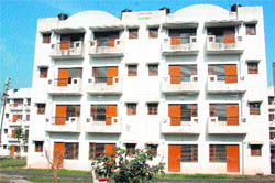 Flats constructed for economically weaker sections at Abheypur in Panchkula.