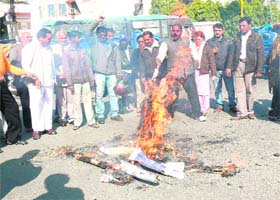 Nationalist Congress Party workers burn an effigy of the state government in Dehradun