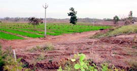 The land that was levelled to make it cultivable in Chadiani village near Garhshankar, which falls in the Kandi area, in Hoshiarpur district.
