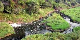 Sewage waste being disposed of into Chhoti Nadi in Patiala.