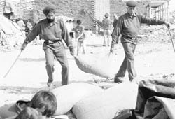 GMADA workers help people shift their goods to another place during the demolition drive in Mohali on Monday.