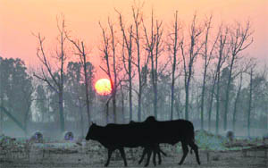 The sun sets on the horizon on a cold Sunday evening in Ludhiana.