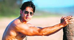 Dino Morea