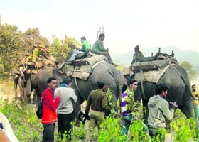 Forest authorities on the hunt