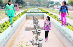 The fountain installed in Sector 28, Chandigarh, is non-functional for the past five months