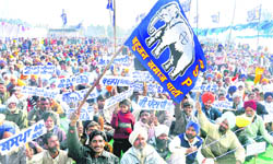 Activists of the BSPstage a dharna In Sector 25, Chandigarh, on Monday.