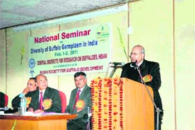 Dr RS Paroda speaks at a national seminar at the Central Institute for Research on Buffaloes in Hisar