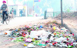 Garbage dumped near a level crossing in Patiala.