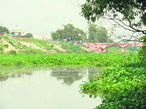 A pathetic scene of the old Ganga canal at Kaliyar. Photo: Navreet Milton