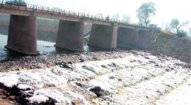 Polluted waters of the Ghaggar near Ratia in Fatehabad.