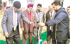 NN Vohra, Governor and Chancellor of Jammu University, plants a sapling on the Bhaderwah campus of the university on Saturday. A Tribune photograph