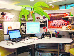 A theme-based office 