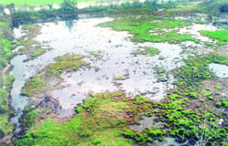 Contaminated water accumulated at the Karol Bagh locality.