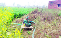 A pump set installed for irrigation on the premises of the patwarkhana at Sangh