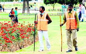 MC employees guard a bed of roses at Rose Garden in Chandigarh on Sunday.