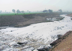 The Ghaggar that inundated thousands of acres of land last monsoon