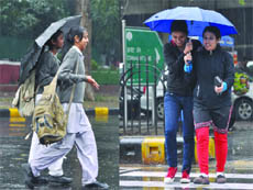 Umbrellas are out . 
