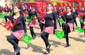 A colourful dance