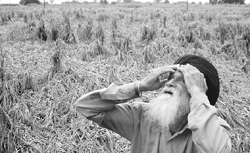 Farmers' dependence on borrowings has increased as farming is no longer adequately remunerative