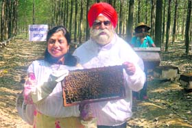 PROUD MOMENT: Jagjit Singh Kapoor and his wife display the ‘Golden Trophy’ awarded to him by the Agriculture and Processed Food Products Export Development Authority (APEDA), Ministry of Commerce and Industry, in Ludhiana