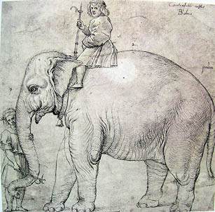 The elephant Hanno. By Raphael (or after Raphael by Giulio Romano). Brush drawing on