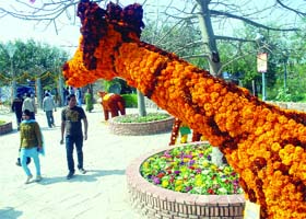 A floral giraffe at the 24th Garden Tourism Festival at Garden of Five Senses, Saket, south Delhi