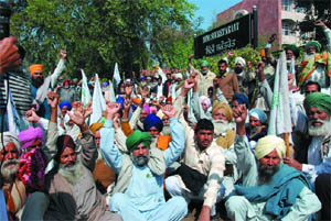 Activists of the BKU-Ekta (Sidhupura) staged a dharna near the Mini-secretariat on Monday. They were protesting against the alleged anti-farmer policies of the Centre and the state government. 