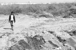 Harmful industrial ash covered by sand on the direction of the Punjab Pollution Control Board on the Dera Bassi-Barwala link road. 