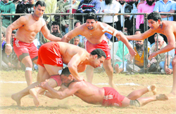 Down but not out: KABADDI FEVER: The ICC Word Cup fever has failed to dampen the craze for kabaddi as a large number of enthusiasts turned up at the Circus Ground in Sector 17, Chandigarh, to watch a match between Sant Ishwar Akhara and Shankar Pura Club during the 1st Kabaddi Cup being organised by the Raiders Youth Club