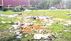 Remains of the Day: A park in Sector 27-C is a mess after a marriage party in Chandigarh