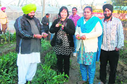 Organic farmer Jasbir Singh shows his produce to a Phillipine-based expert at Ghulal village.
