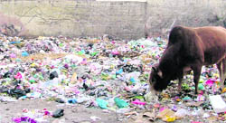 A garbage dump at the Kitab Bazar in Ludhiana
