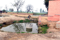The pieces of pipes that were meant to lift water are missing from pump number 1 at village Bahawalbasi in Abohar