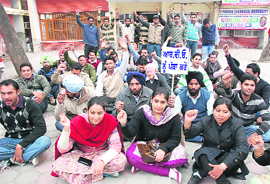 Rural veterinary officers stage a protest in Bathinda on Wednesday. They were demanding the regularisation of their services