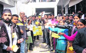 Lawyers canvass for the Dehradun Bar Association elections held in Dehradun