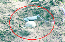The explosive placed in sand near the Ghaggar at Bhankarpur village on Friday