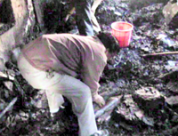 An employee of district courts, Ferozepur, attempts to pick up some papers