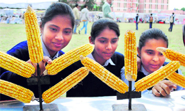 Students at the Rabi Kisan Mela in Karnal on Tuesday.