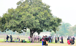 Players take shelter under a tree following rain in Ludhiana 