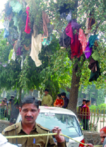 The scene outside the blast site, with clothes strewn on a tree.