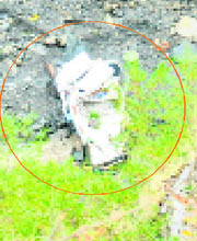 A picture of the ill-fated truck taken from a distance.