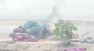 A poor man, braving the chill, sleeps on a footpath in Amritsar on Friday.